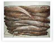 Hake | Seafrozen HGT 500-800 gms Packed IWP